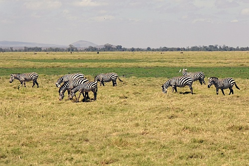 Kenia (158)